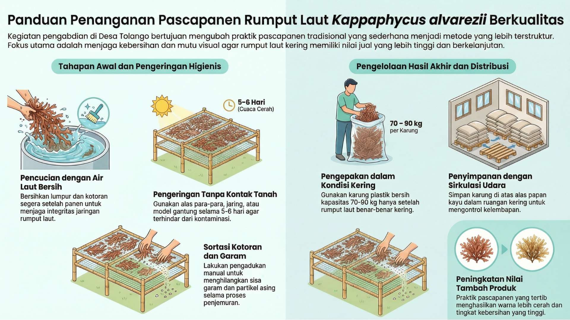 Dongkrak Nilai Jual Rumput Laut, Tim Dosen UNG Ajarkan Teknik Pascapanen Higienis di Tolango