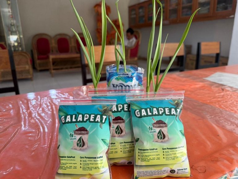 Sulap Limbah Jadi Produk Bernilai Ekonomi, Mahasiswa KKN Hadirkan GALAPEAT di Desa Dunggala 
