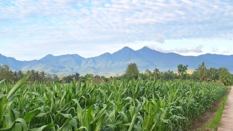 Jejak Mitos dalam Nama Dusun: Mahasiswa FSB UNG Ungkap Makna Budaya di Kecamatan Wonosari