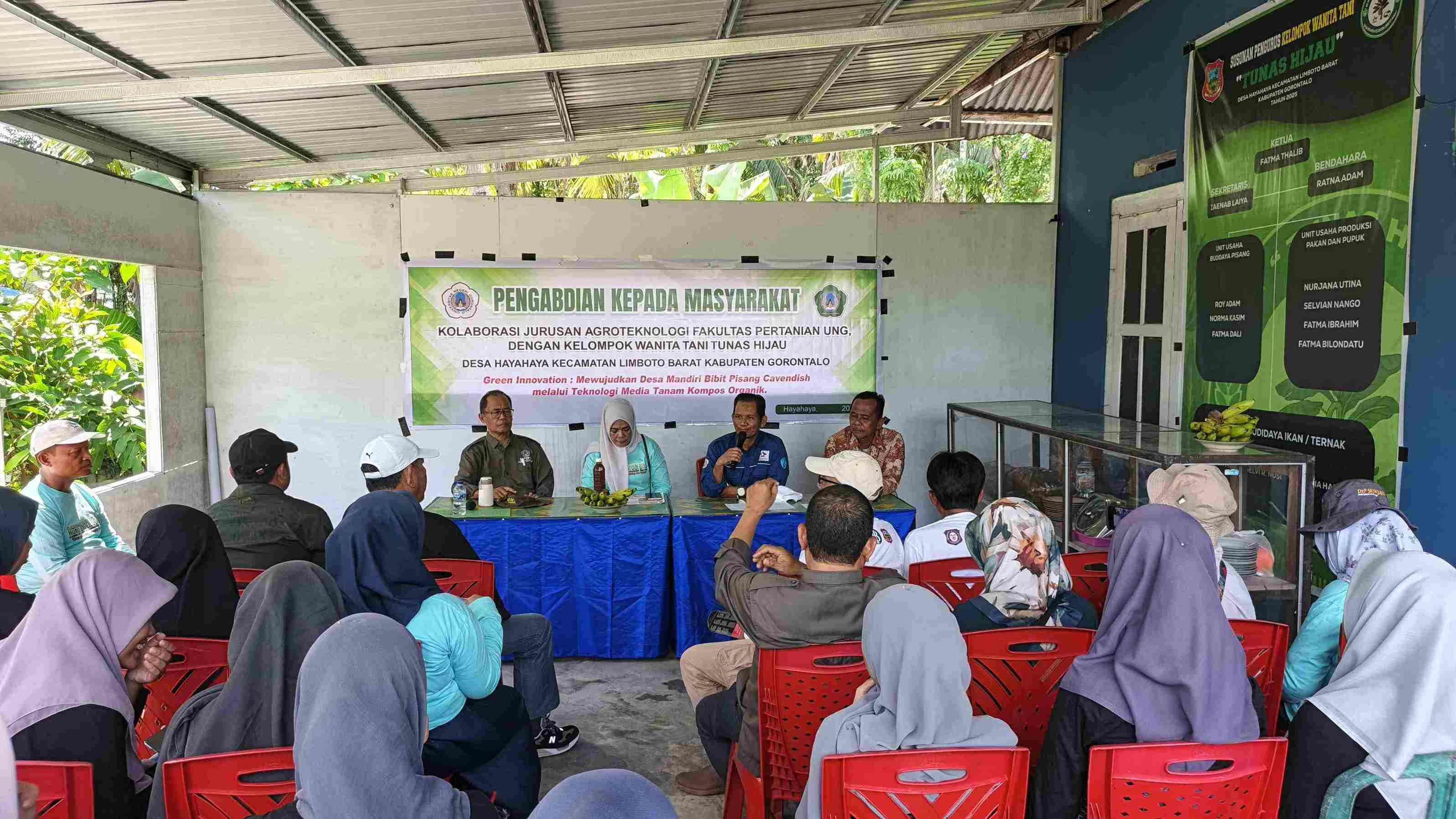 Agroteknologi UNG Dorong Kemandirian Petani, Desa Hayahaya Kini Produksi Bibit Pisang Cavendish dan Pupuk Organik