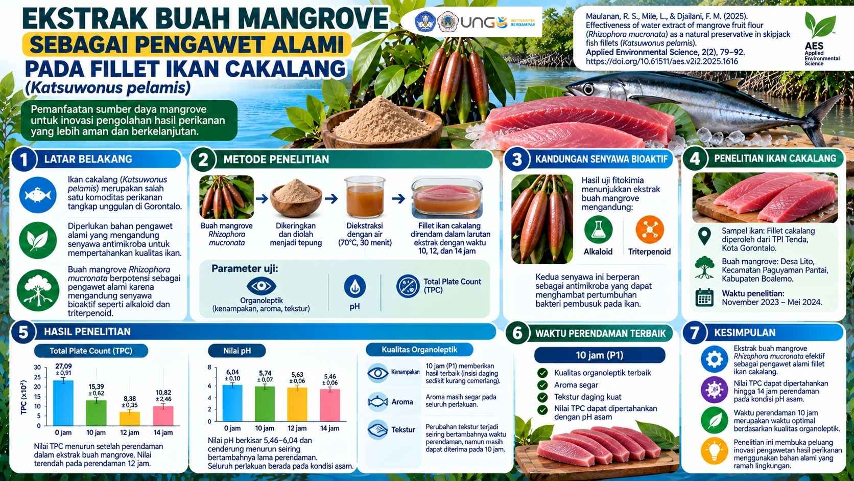 Buah Mangrove Jadi Pengawet Alami, Inovasi UNG untuk Menjaga Mutu Ikan Cakalang 